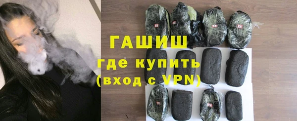 гашик Алексин