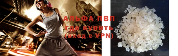 гашик Алексин