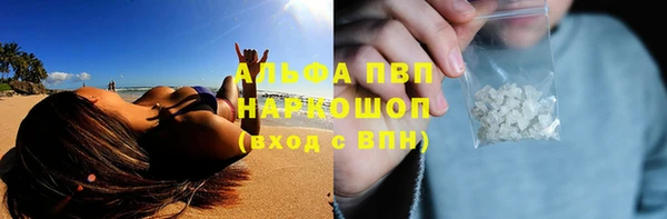 индика Абинск