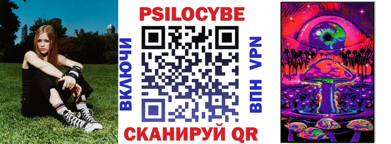 купить  цена  Казань  hydra ссылки  Псилоцибиновые грибы мухоморы 