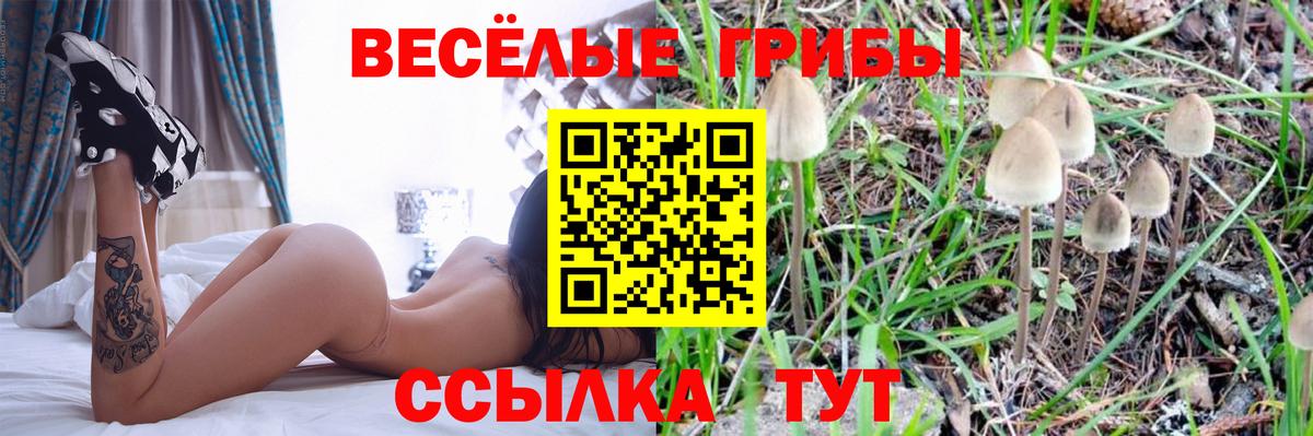 Псилоцибиновые грибы Magic Shrooms Казань