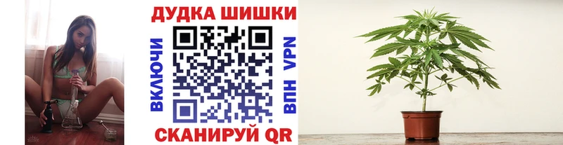 Бошки Шишки Amnesia  продажа наркотиков  Казань 